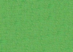 Caran d'Ache NeoArt Aquarelle Pastels Individual No. 210 - Emerald Green