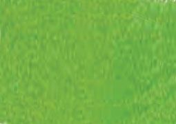Art Spectrum Soft Pastel Individual Standard - Grass Green (P)