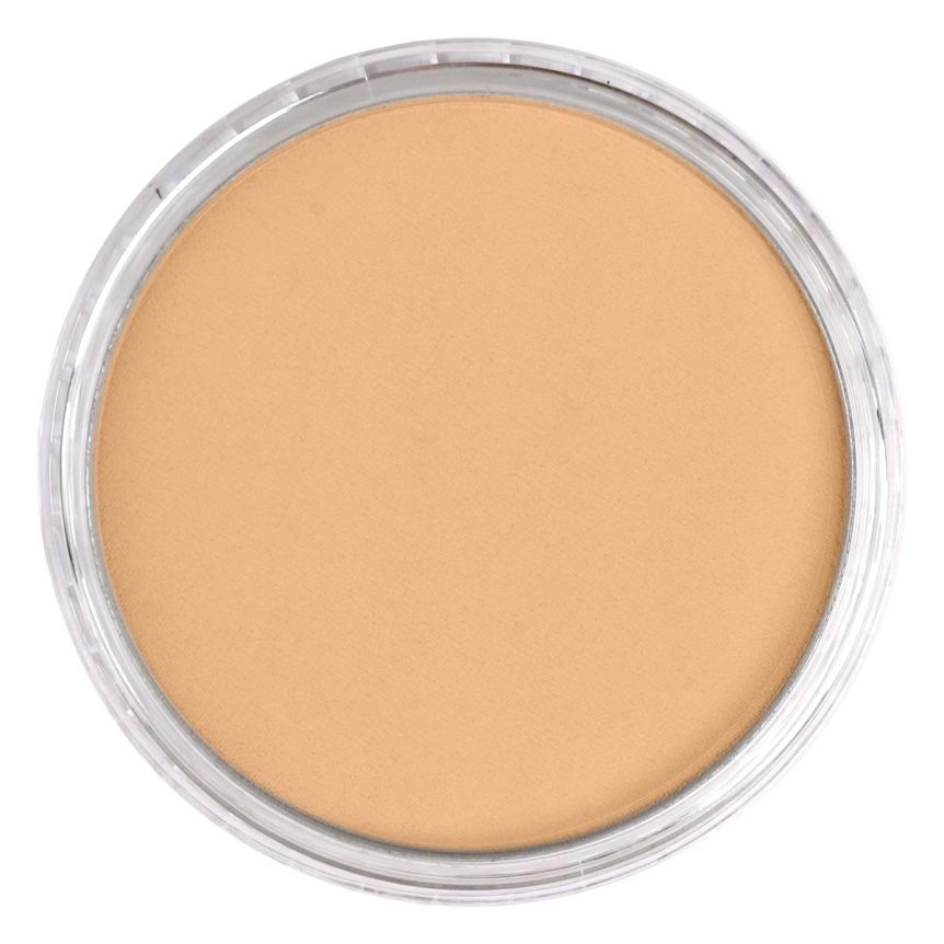 PanPastel Ultra Soft Artists' Painting Pastel - Raw Sienna Light, 9 ml