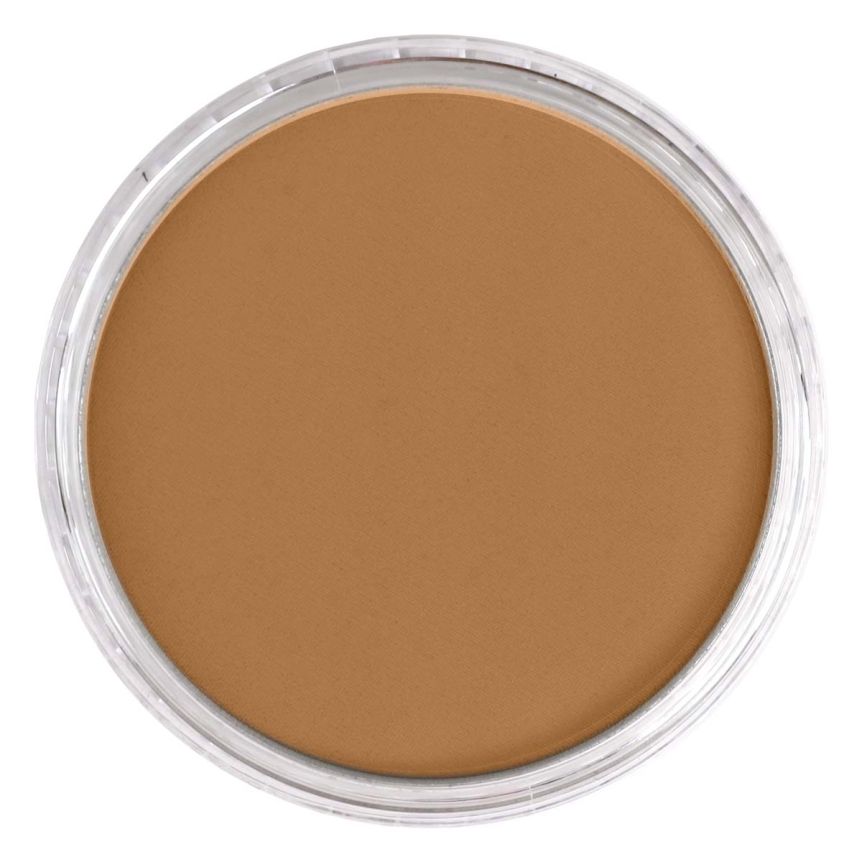 PanPastel Ultra Soft Artists' Painting Pastel - Raw Sienna Shade, 9 ml