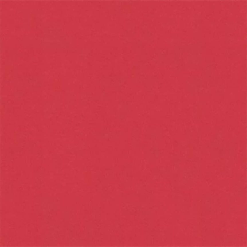 Crescent Select Conservation Matboard 32x40” Red