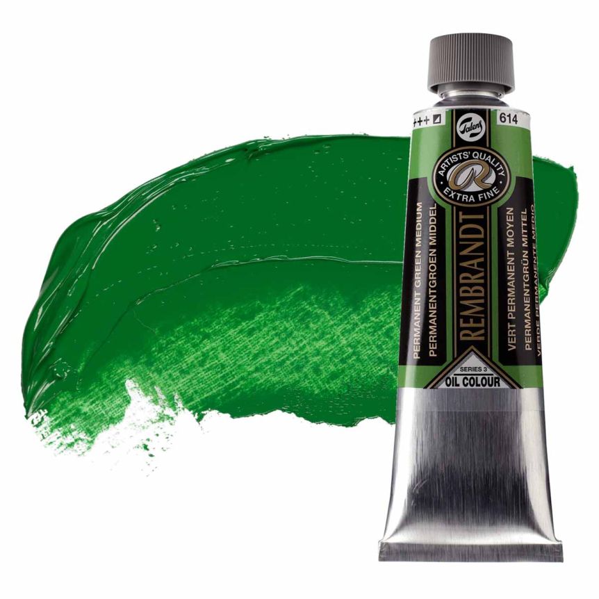 Rembrandt Extra-Fine Artists' Oil - Permanent Green Medium, 150ml