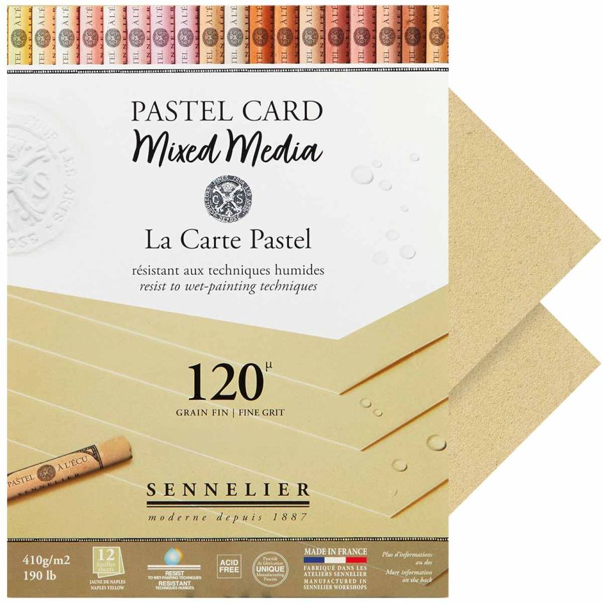 Sennelier La Carte Pastel Mixed Media Pad - Naples Yellow, 11.81"x15.75" (12 Cards)