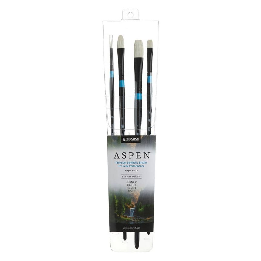 Princeton Aspen Series 6500 Professional Brush Set of 4