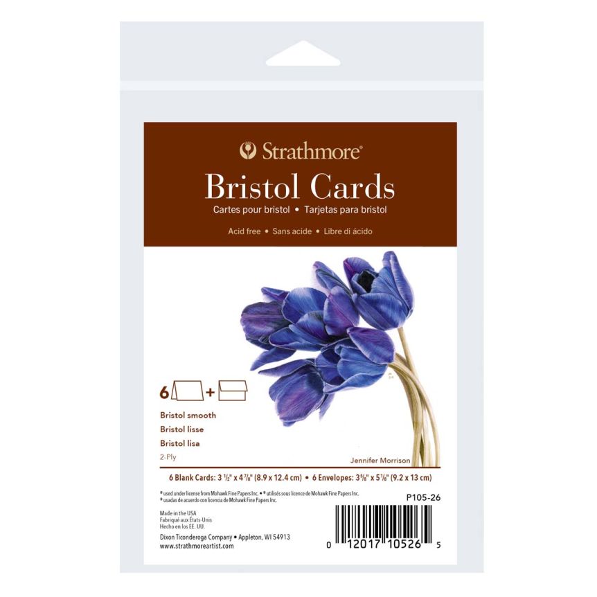 Strathmore 400 Series Card and Envelope Bristol 6 Pack - Small Size