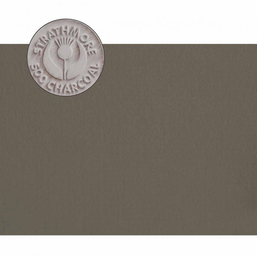 Charcoal Paper 19X25 Velvet Gray