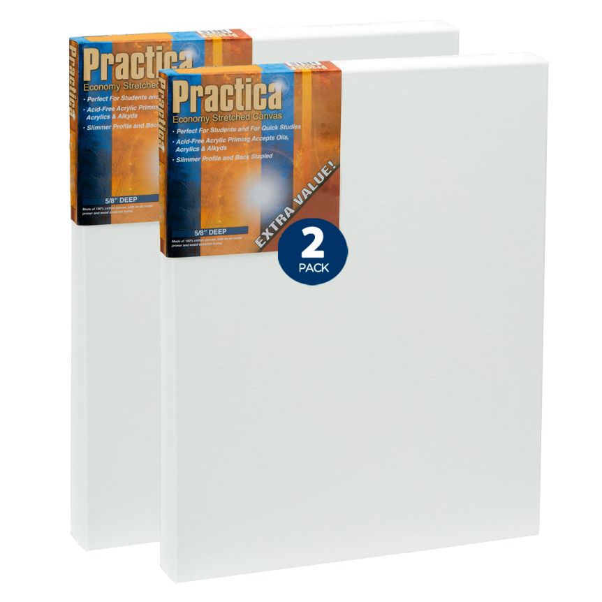 Practica Stretched Cotton Canvas 12" x 16", Value 2-Pack