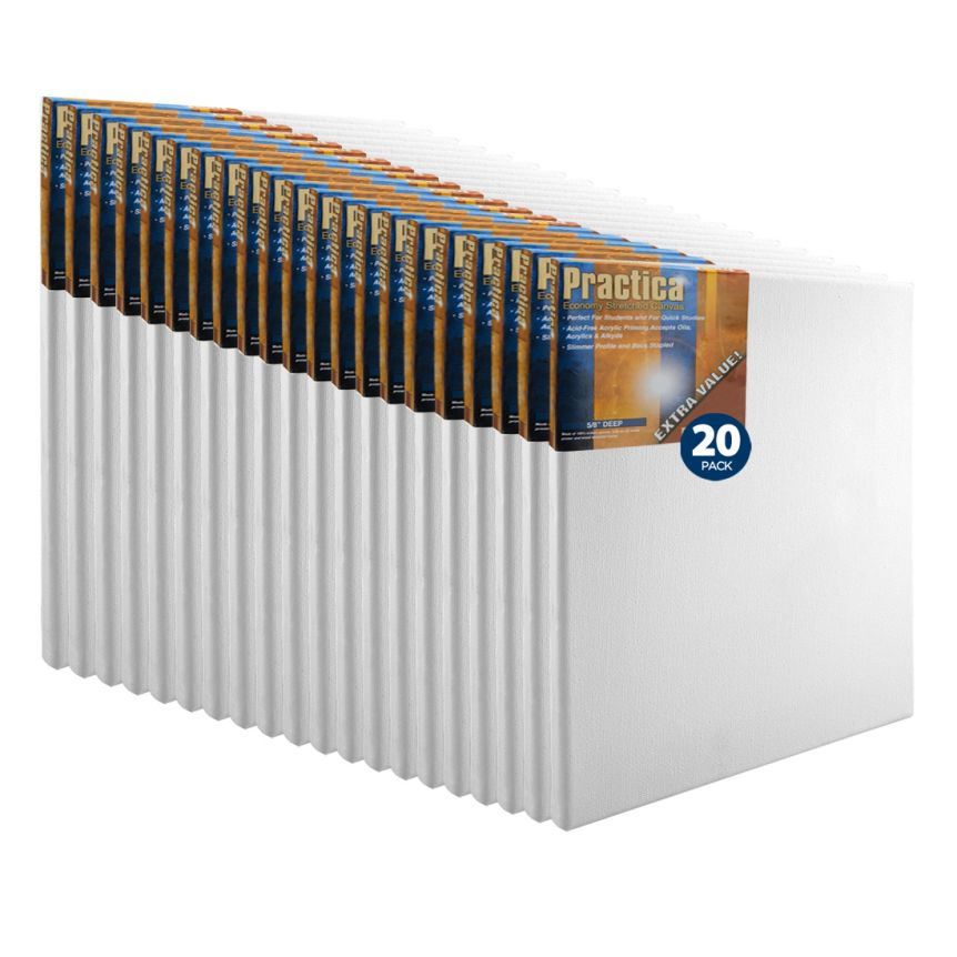 Stretched Cotton Canvas 20"x20", Box of 20, Practica