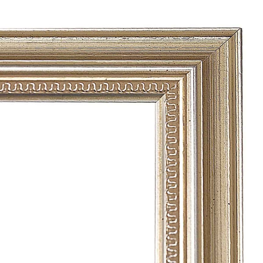 Tallahassee Silver Frame 1-1/2" with Glass 16"x20" - Millbrook Collection 