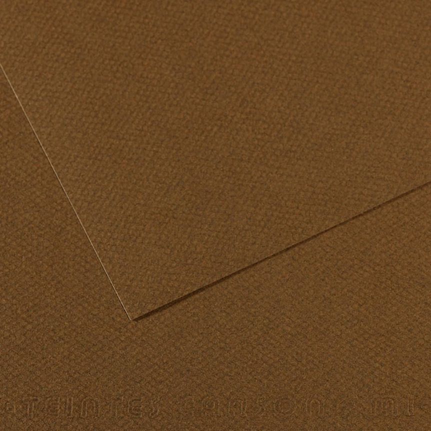 Canson Mi-Teintes Sheet