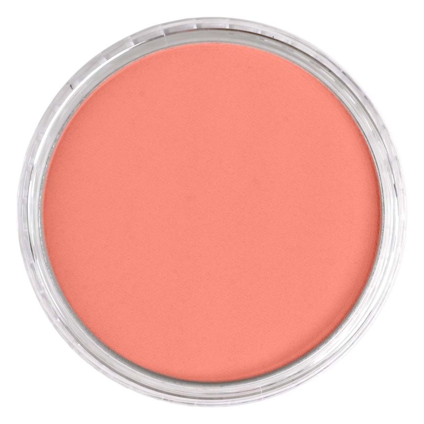 PanPastel Ultra Soft Artists' Painting Pastel - Vermilion Medium, 9 ml
