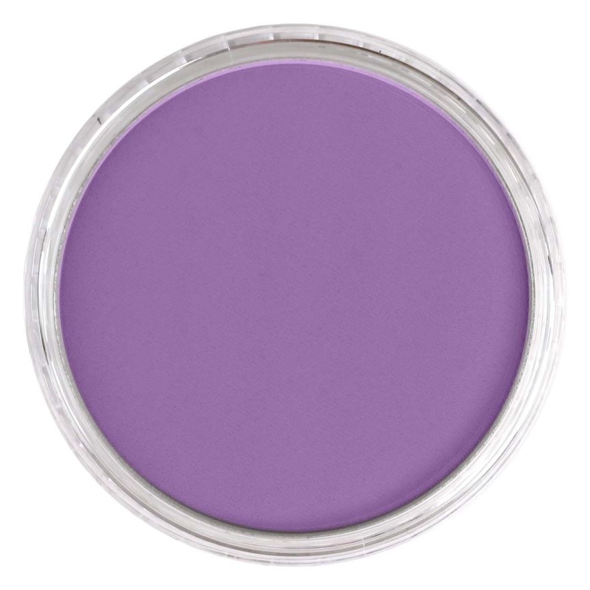 PanPastel Ultra Soft Artists' Painting Pastel - Violet Light, 9 ml
