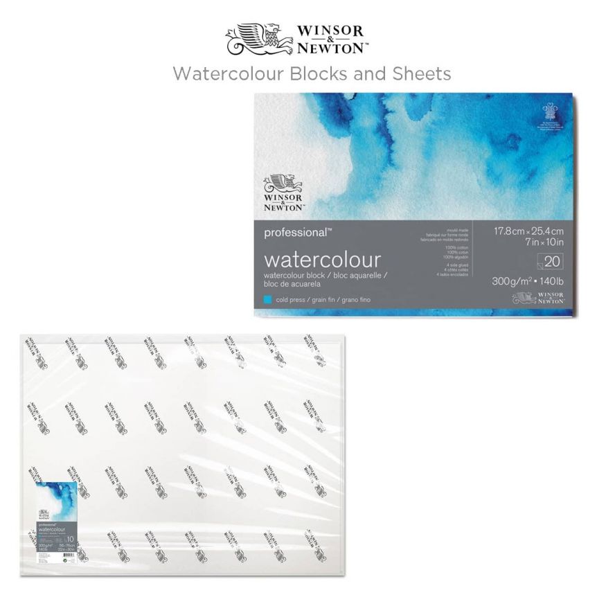 Winsor & Newton Professional Watercolor Sheet 300 lb Cold Press 22x30  (10-Pack)
