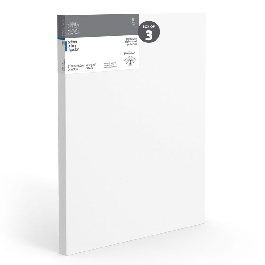 Winsor & Newton Professional Canvas Gallery Deep (1.65") Stretched Canvas-24"x30" (Box of 3)