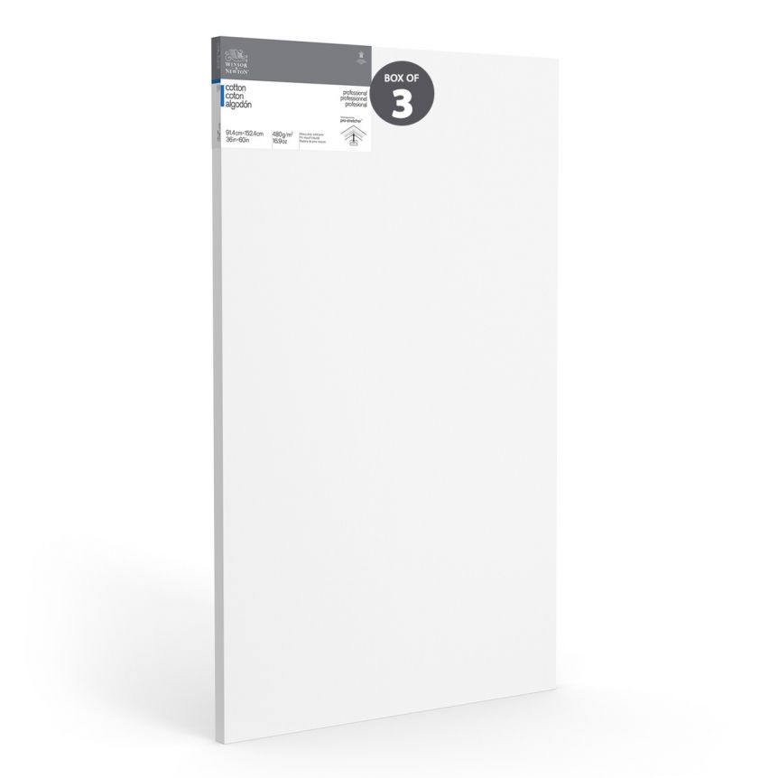 Winsor & Newton Professional Canvas Gallery Deep (1.65") Stretched Canvas-36"x60" (Box of 3)