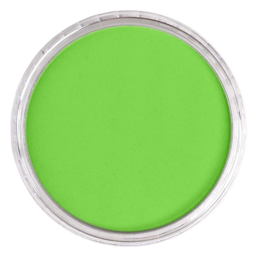 PanPastel Ultra Soft Artists' Painting Pastel - Yellow Green, 9 ml