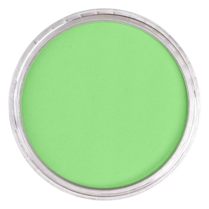 PanPastel Ultra Soft Artists' Painting Pastel - Yellow Green Light, 9 ml