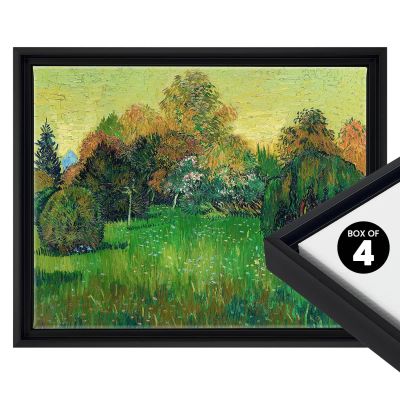 Boxes of 4 & 6 Cardinali Renewal Core Floater Frames