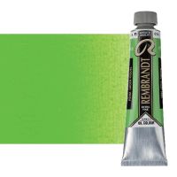 Rembrandt Extra-Fine Artists' Oil Paint - Permanent Green Medium, 40ml Tube