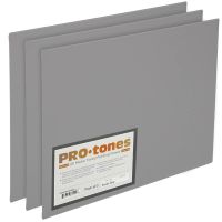 Paramount Pro-Tones Canvas Panel 11