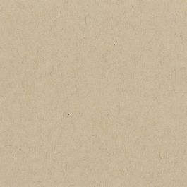 400 Series Toned Tan used - Strathmore Artist Papers