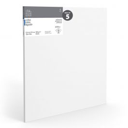 Winsor & Newton Professional Canvas Standard Depth (0.82