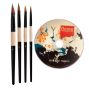 Fountain Brush Instructional DVD + Beste Fountain Brushes Set