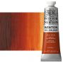 Winton Oil Color - Burnt Sienna, 37ml Tube