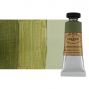 Charvin Professional Oil Paint Extra-Fine, Green Earth - 20ml