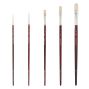 New York Central Munich Basic Brush Set of 5