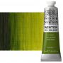 Winton Oil Color - Sap Green, 37ml Tube
