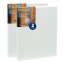 Practica Stretched Cotton Canvas 12"x16" (Pack of 2)