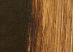 Da Vinci Artists' Oil Color 37 ml Tube - Burnt Umber