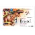 Strathmore Sequential Paper 500 Series Plate Bristol 11x17", Pkg of 24 Sheets