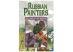 Russian Painters: The Years of Art Nouveau DVD 50 minutes