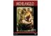 The Discovery of Art: Michelangelo Buonarroti DVD 45 minutes