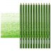 Prismacolor Premier Colored Pencils Set of 12 PC912 - Apple Green