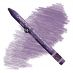 Caran d'Ache Neocolor II Water-Soluble Wax Pastels - Aubergine, No. 099 (Box of 10)
