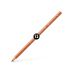 Faber-Castell Polychromos Pencil, No. 187 - Burnt Ochre (Box of 12)