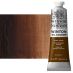 Winton Oil Color - Burnt Umber, 37ml Tube