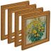 Cardinali Florence Gold Frame - 8" x 8" (Box of 4)