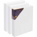 Centurion DLX Acrylic Primed Linen Canvas 9"x12", 1-1/2" Deep (Box of 3)