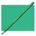 Conté Pastel Pencil Individual - Dark Green