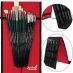 Professional Supreme Oil Color Brush Set of 16 w/ Free Rockwell Brush Easel Case