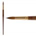 Escoda Reserva Kolinsky Tajmyr Sable Long Handle Brush 2420 Round #16