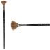 Princeton Pro Series 6000 Synthetic Brush - Fan, Long Handle, Size 3