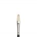 Winsor & Newton Artists Oil Chungking Brush Filbert #6