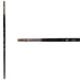 Princeton Pro Series 6000 Synthetic Brush - Filbert, Long Handle, Size 2