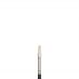 Winsor & Newton Artists Oil Chungking Brush Flat #2