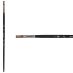 Princeton Pro Series 6000 Synthetic Brush - Flat, Long Handle, Size 2
